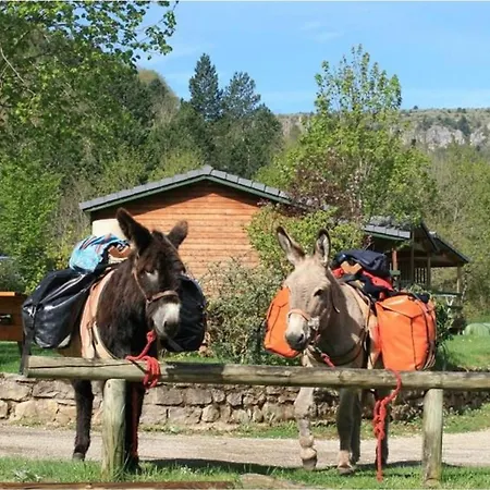 Accueillant - 4 Pers. - Api-1-52-2453 Campsite
