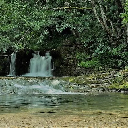 Accueillant - 4 Pers. - Api-1-52-2453 *